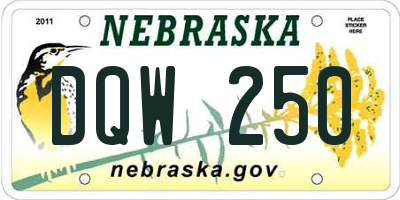 NE license plate DQW250