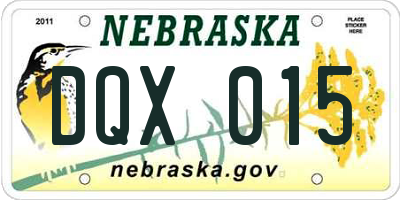 NE license plate DQX015