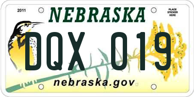 NE license plate DQX019
