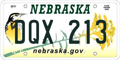 NE license plate DQX213