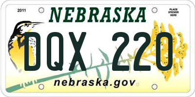 NE license plate DQX220