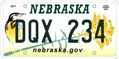 NE license plate DQX234