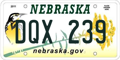 NE license plate DQX239