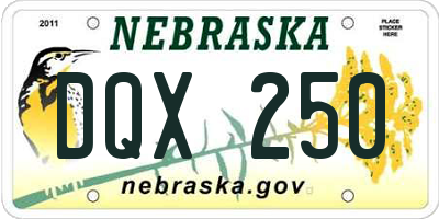 NE license plate DQX250
