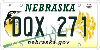 NE license plate DQX271
