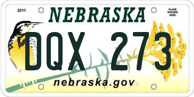 NE license plate DQX273