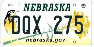NE license plate DQX275
