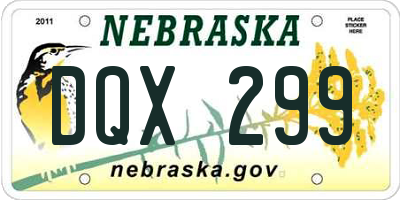 NE license plate DQX299
