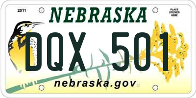 NE license plate DQX501