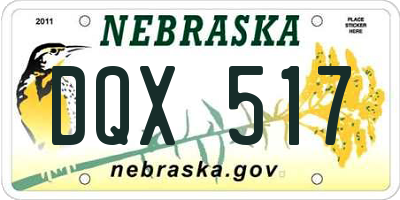 NE license plate DQX517