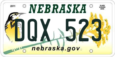 NE license plate DQX523