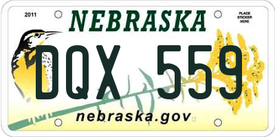 NE license plate DQX559