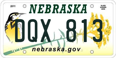 NE license plate DQX813