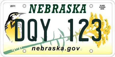 NE license plate DQY123