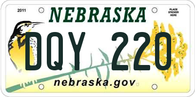 NE license plate DQY220