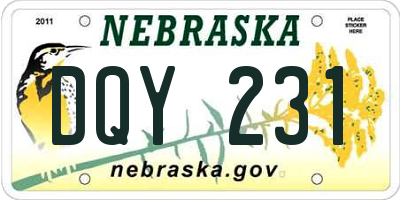 NE license plate DQY231