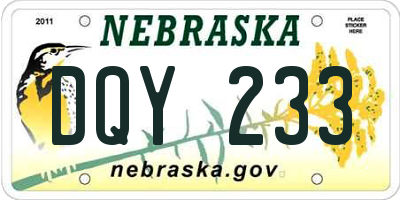 NE license plate DQY233