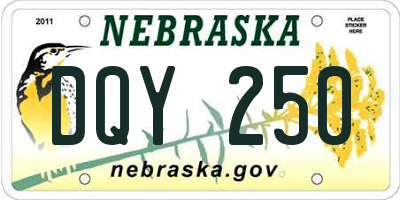 NE license plate DQY250