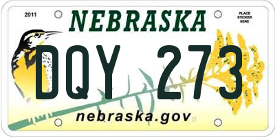 NE license plate DQY273