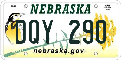 NE license plate DQY290