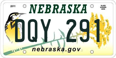 NE license plate DQY291