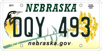 NE license plate DQY493