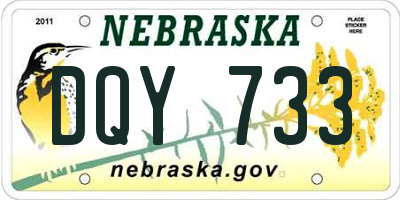 NE license plate DQY733