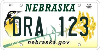 NE license plate DRA123