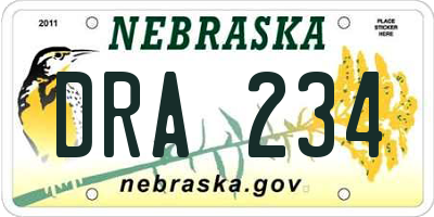 NE license plate DRA234