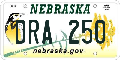 NE license plate DRA250