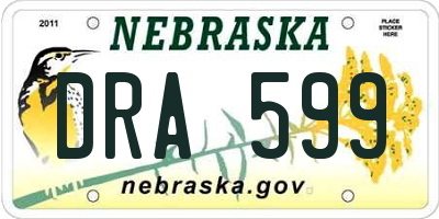 NE license plate DRA599