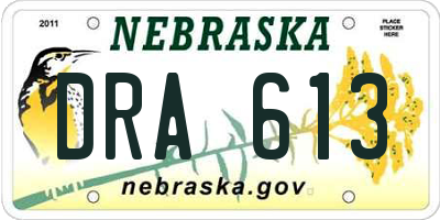 NE license plate DRA613
