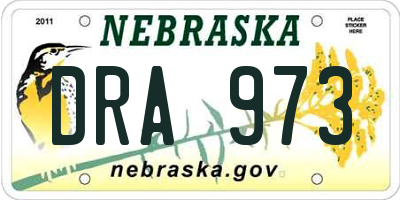 NE license plate DRA973