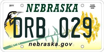 NE license plate DRB029