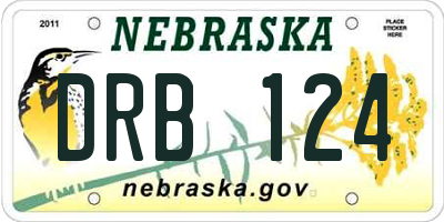 NE license plate DRB124