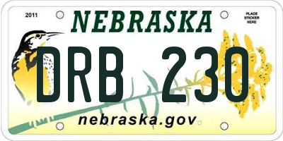 NE license plate DRB230