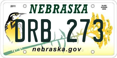 NE license plate DRB273