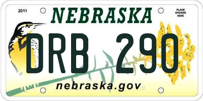NE license plate DRB290
