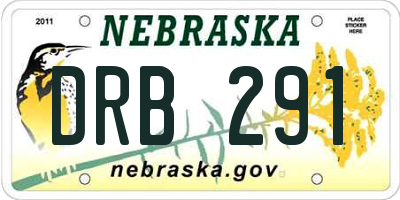 NE license plate DRB291