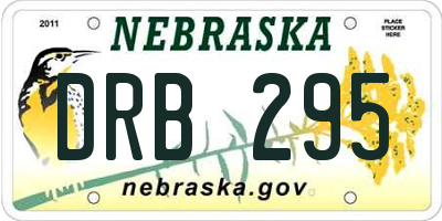 NE license plate DRB295
