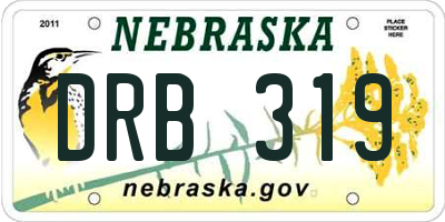NE license plate DRB319