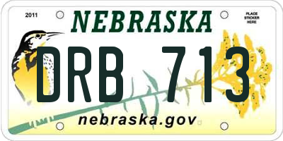 NE license plate DRB713