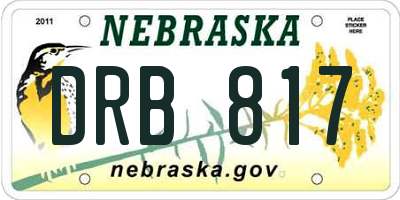 NE license plate DRB817