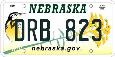 NE license plate DRB823