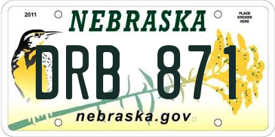 NE license plate DRB871