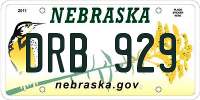 NE license plate DRB929