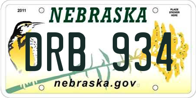 NE license plate DRB934