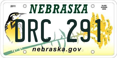 NE license plate DRC291