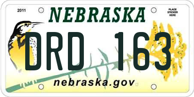 NE license plate DRD163