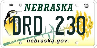NE license plate DRD230